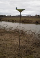 Vogel Drinkbadje op pin